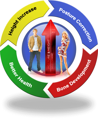 Growth Flex Cycle